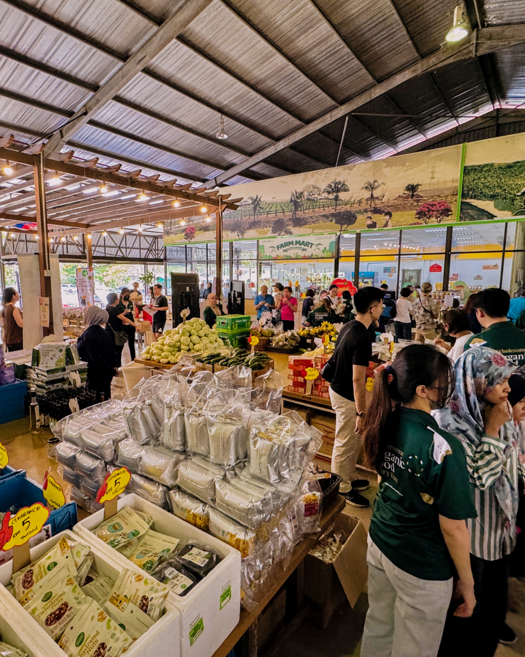 iamnotagirl SHOW @ ZENXIN: A Farm-to-Music Escapade