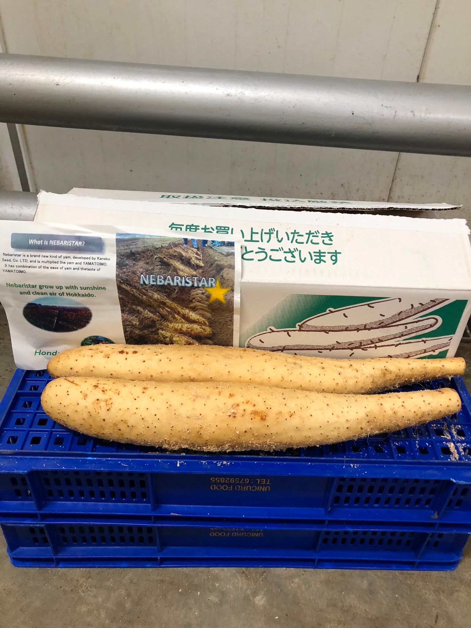 [FRESH] Natural Nagaimo 500g