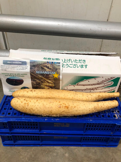[FRESH] Natural Nagaimo 500g