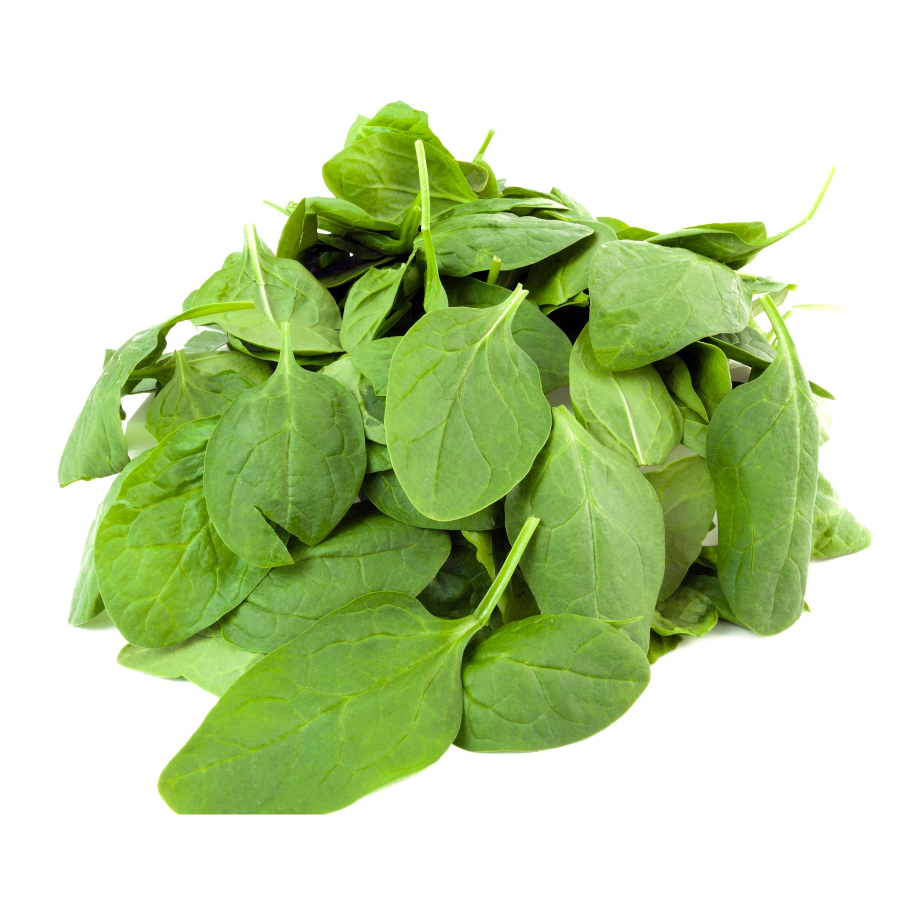 FRESH Organic Baby Spinach 125g ZENXIN ORGANIC fresh-organic-baby-spinach-125g-zenxin-organic