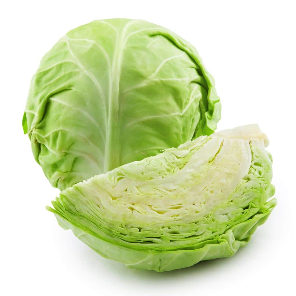 [FRESH] Organic English Cabbage Malaysia 1pc