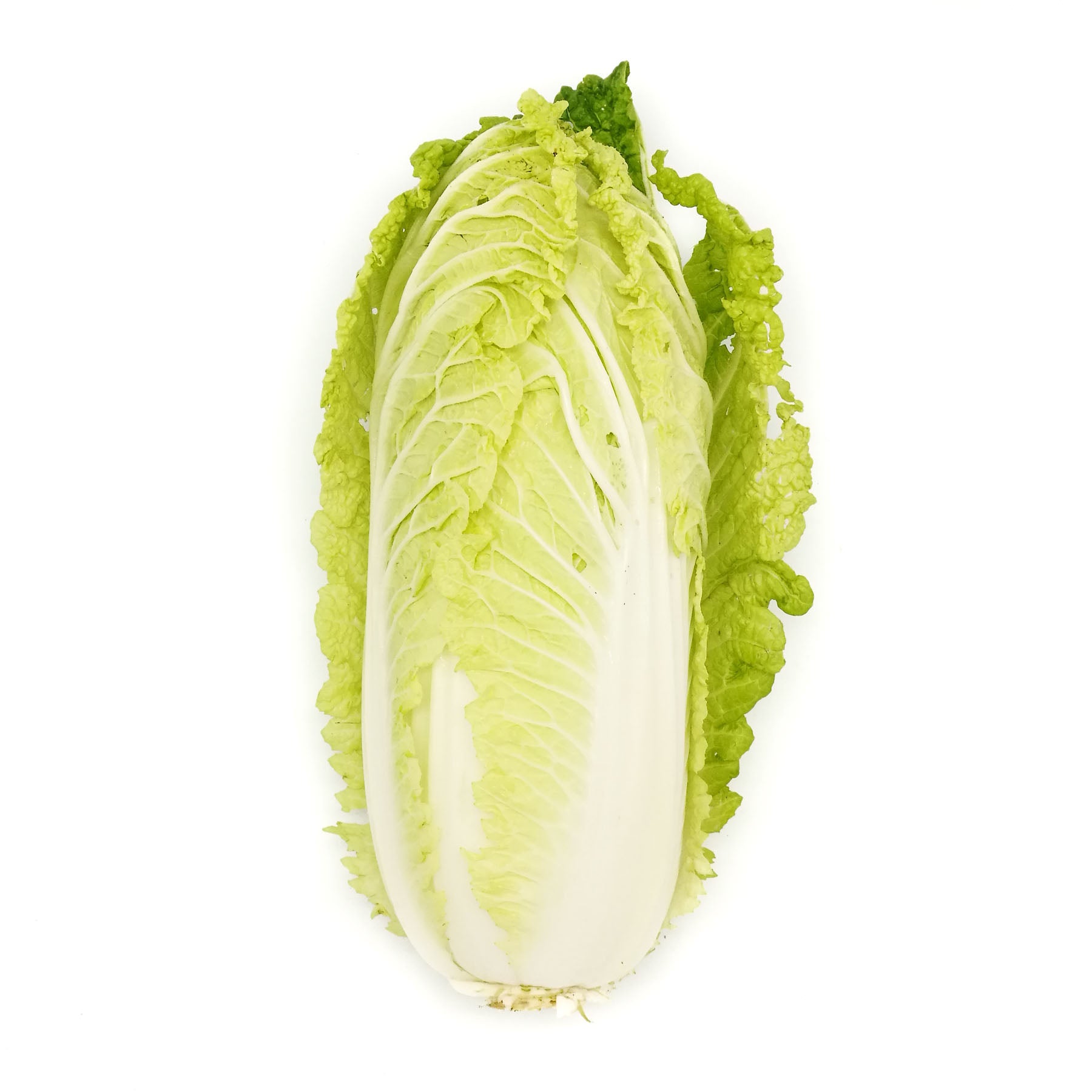 [FRESH] Organic Chinese Cabbage 500g Thailand/Malaysia