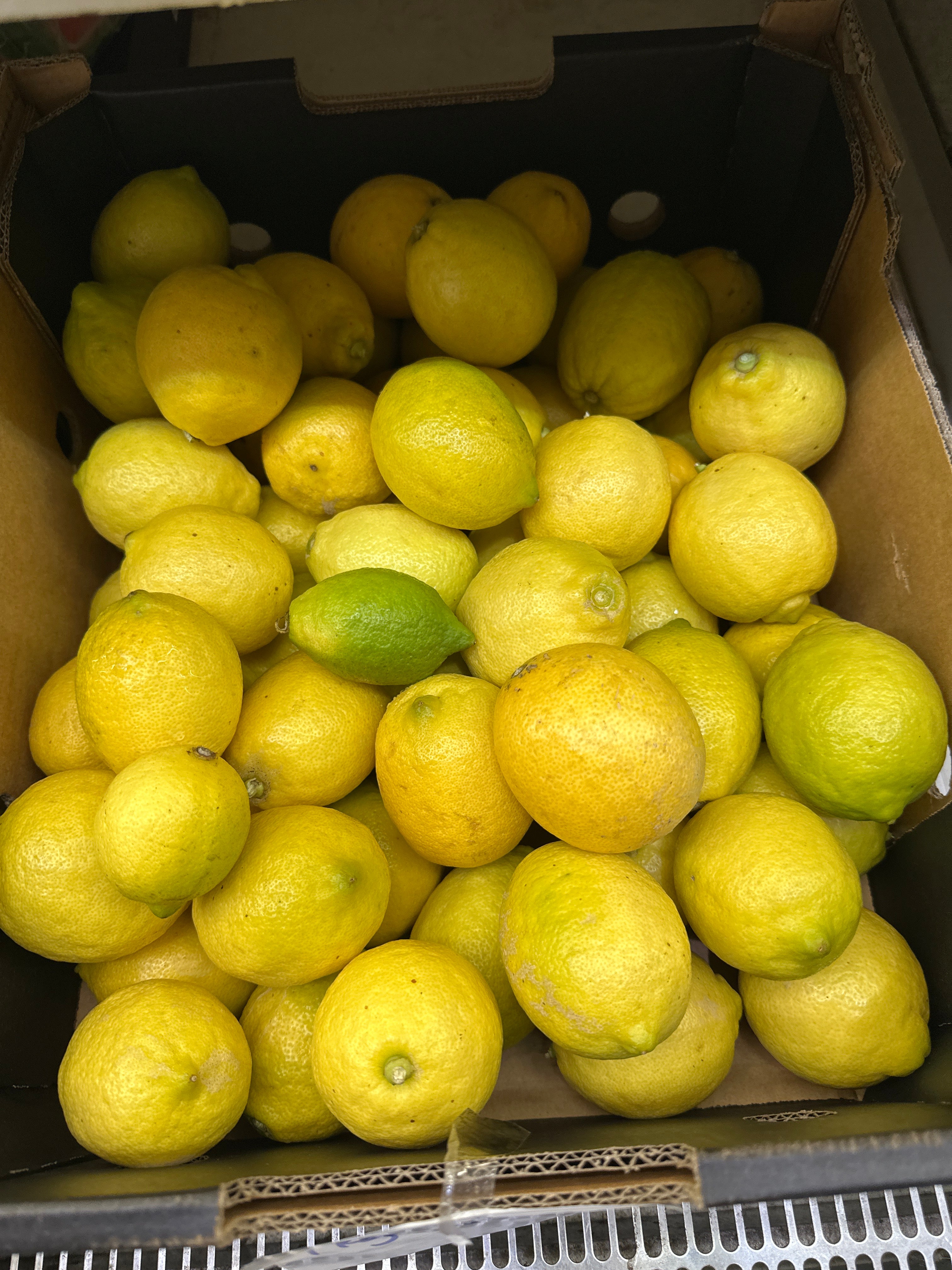 [FRESH] Organic Lemon 2pcs Europe