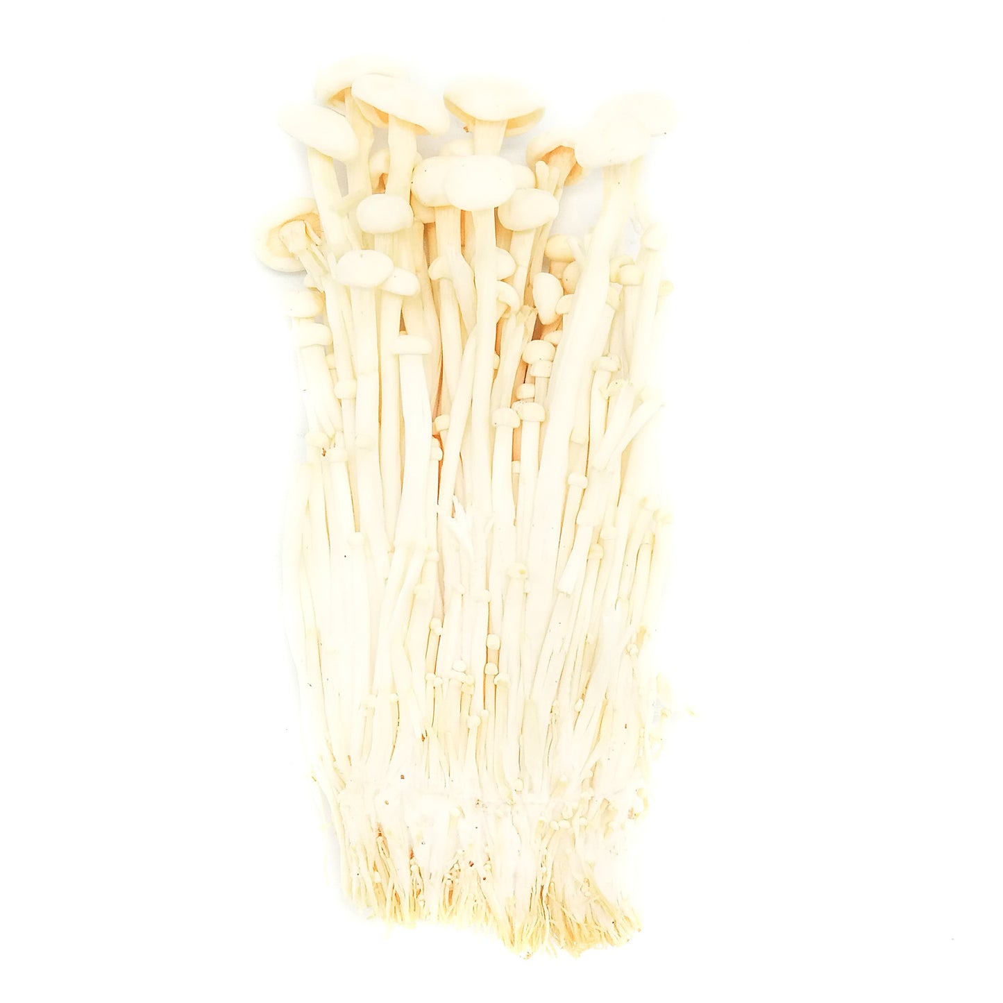 Organic Enoki Mushroom 140g Thailand