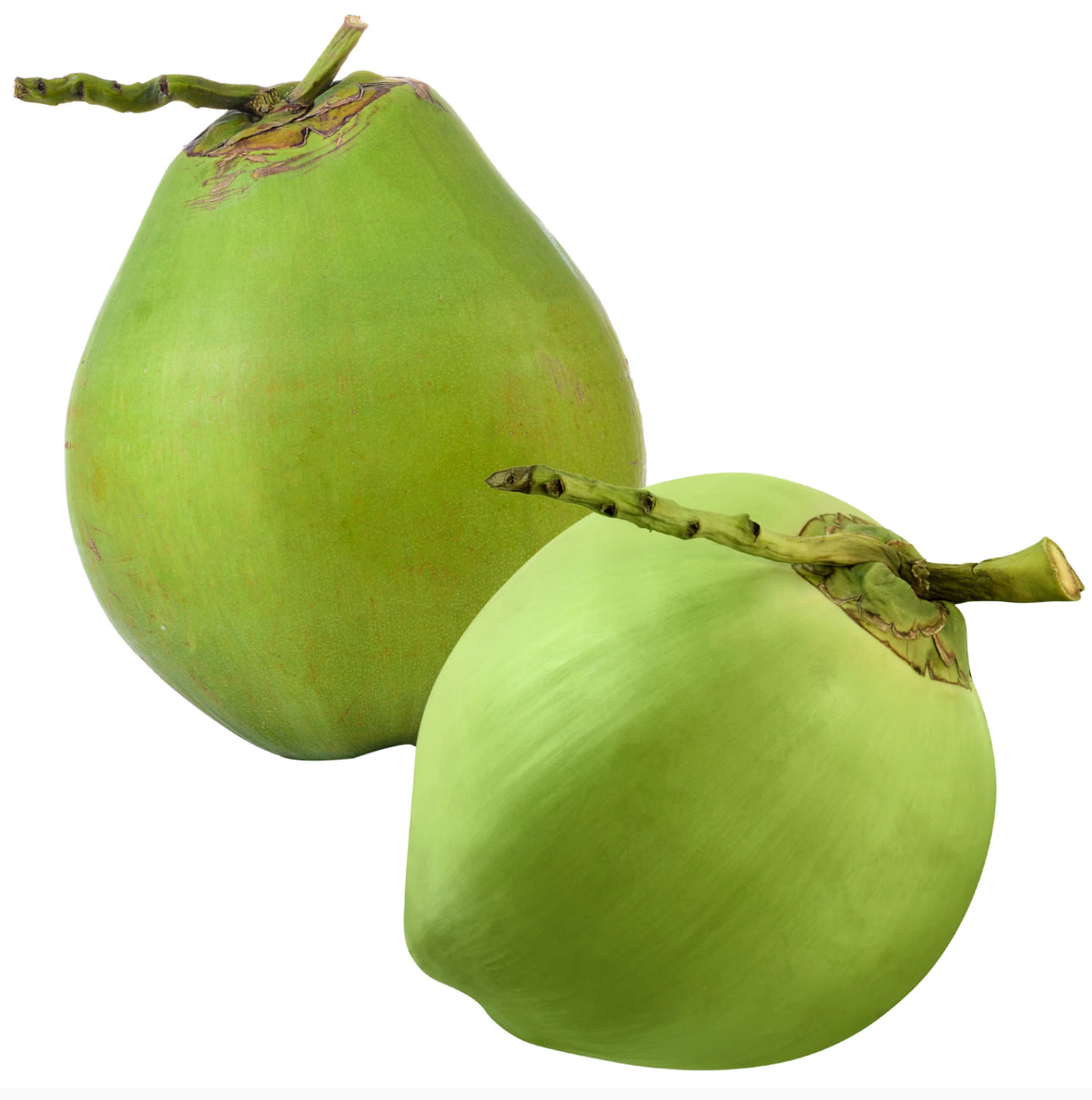 [FRESH] Organic Whole Coconut 1pc Malaysia