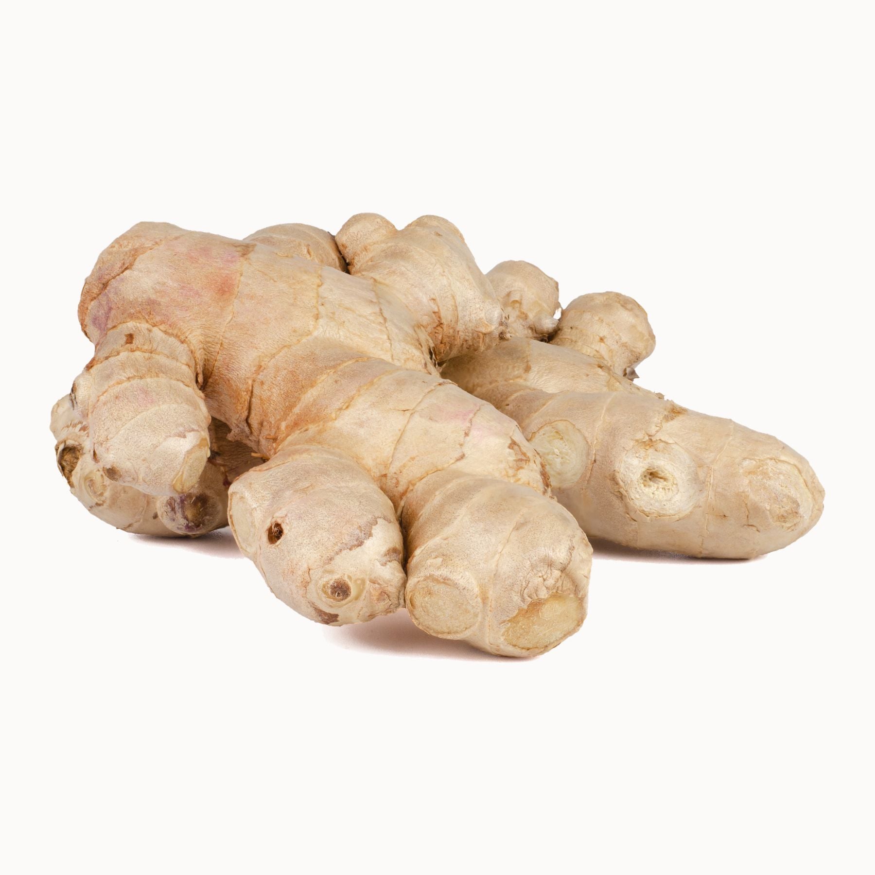 [FRESH] Organic Ginger - USDA
