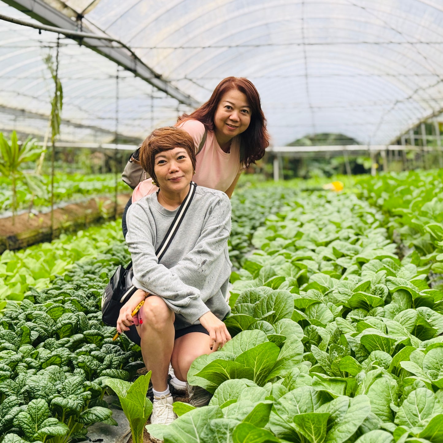 6-7 July 2026 | 2D1N Organic Cameron Trip
