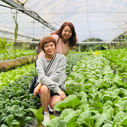6-7 July 2026 | 2D1N Organic Cameron Trip