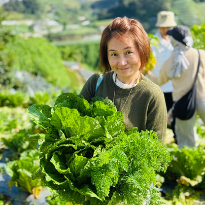 6-7 July 2026 | 2D1N Organic Cameron Trip
