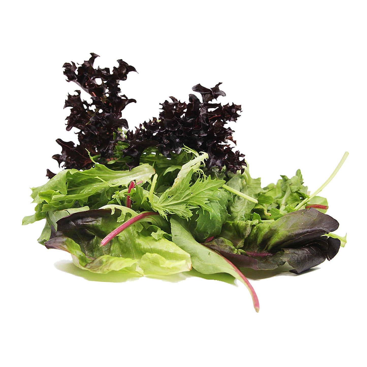 Organic Mixed Salad 125g Italy