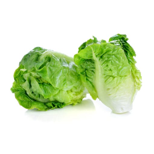 Organic Mini Cos Lettuce 160g Malaysia