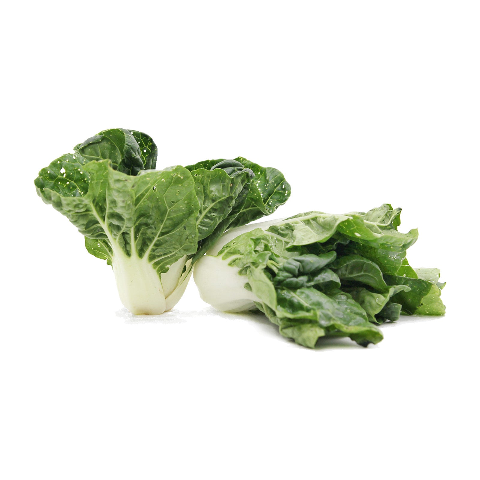 [FRESH] Organic Nai Pak 150g Malaysia/Thailand