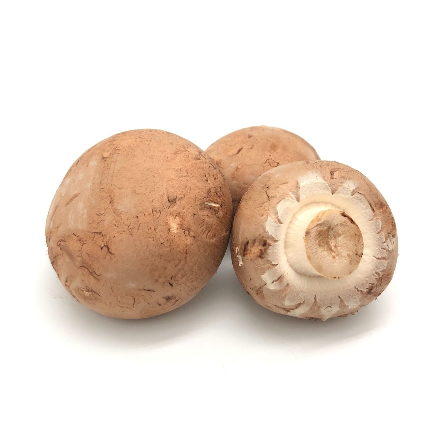 Organic Chestnut Mushroom 150g Holland