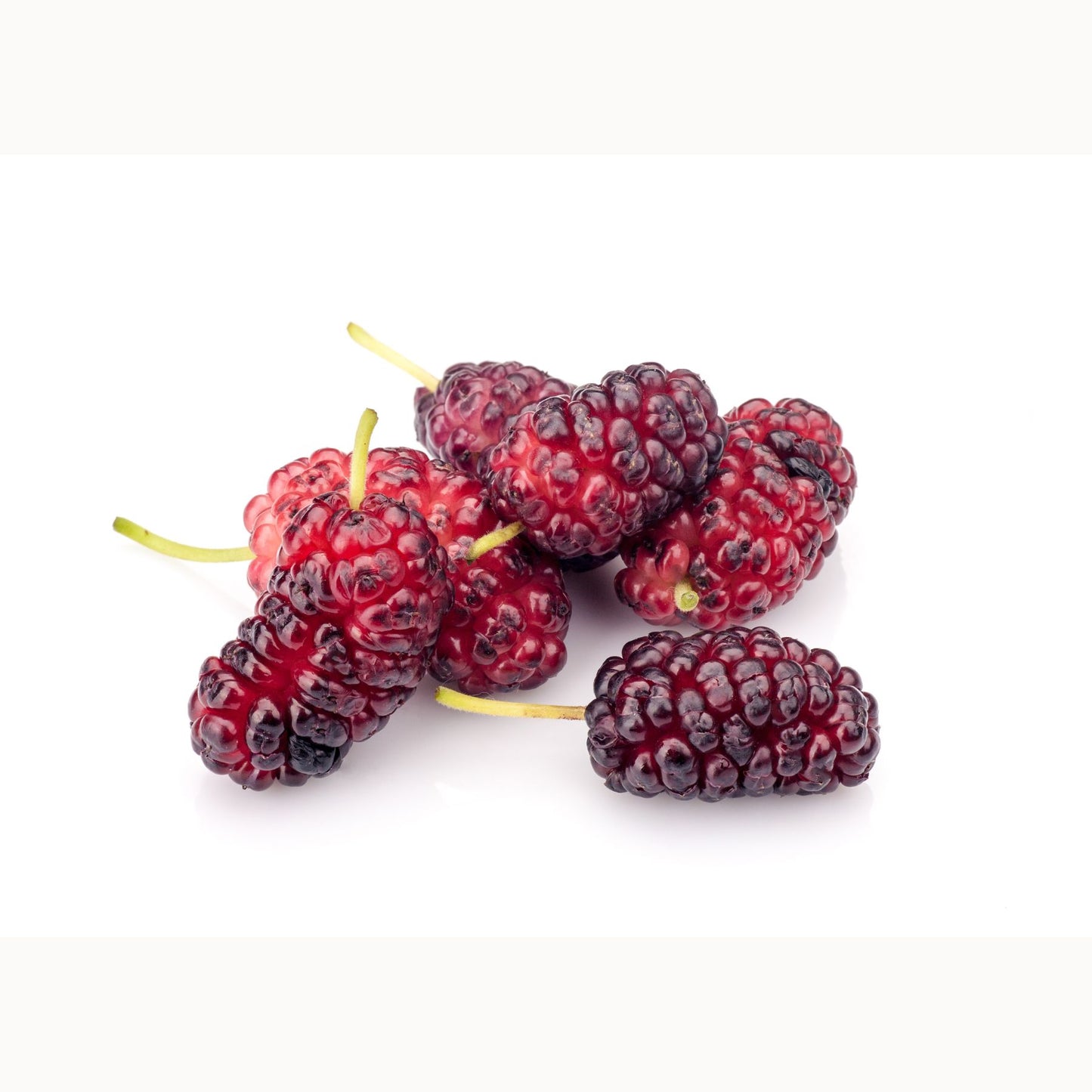 [FRESH] Organic Mulberry 100g