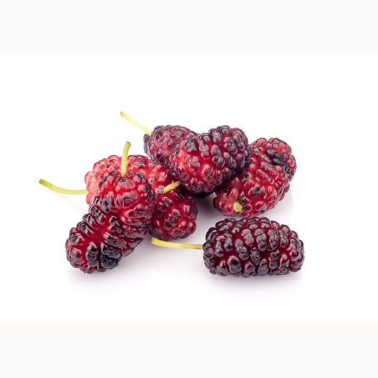 [FRESH] Organic Mulberry 100g