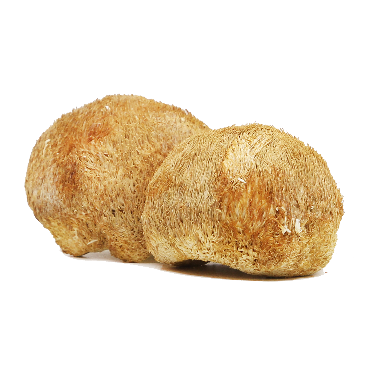 Simply Natural Organic QY Dried Hericium Mushroom 50g