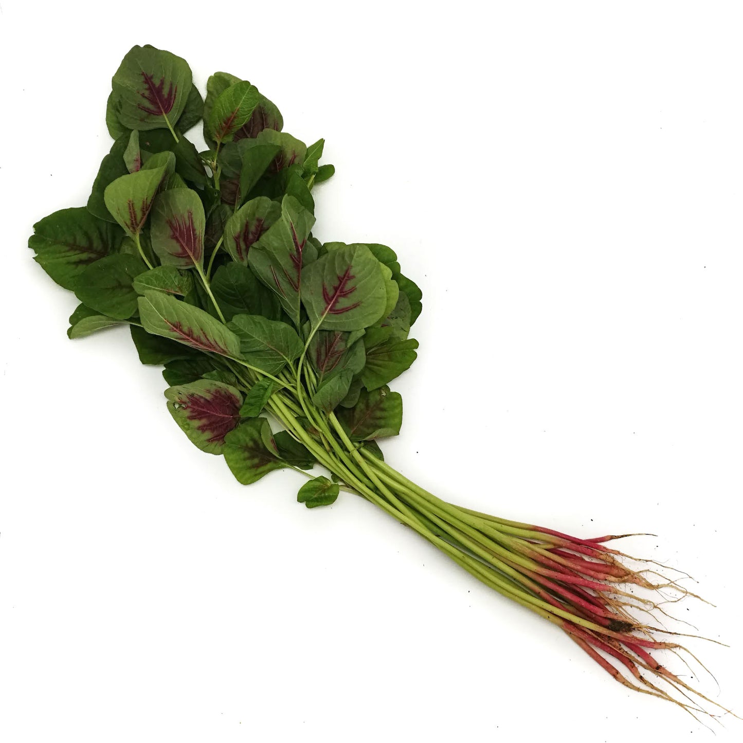 Organic Chinese Red Spinach 150g Thailand/Malaysia