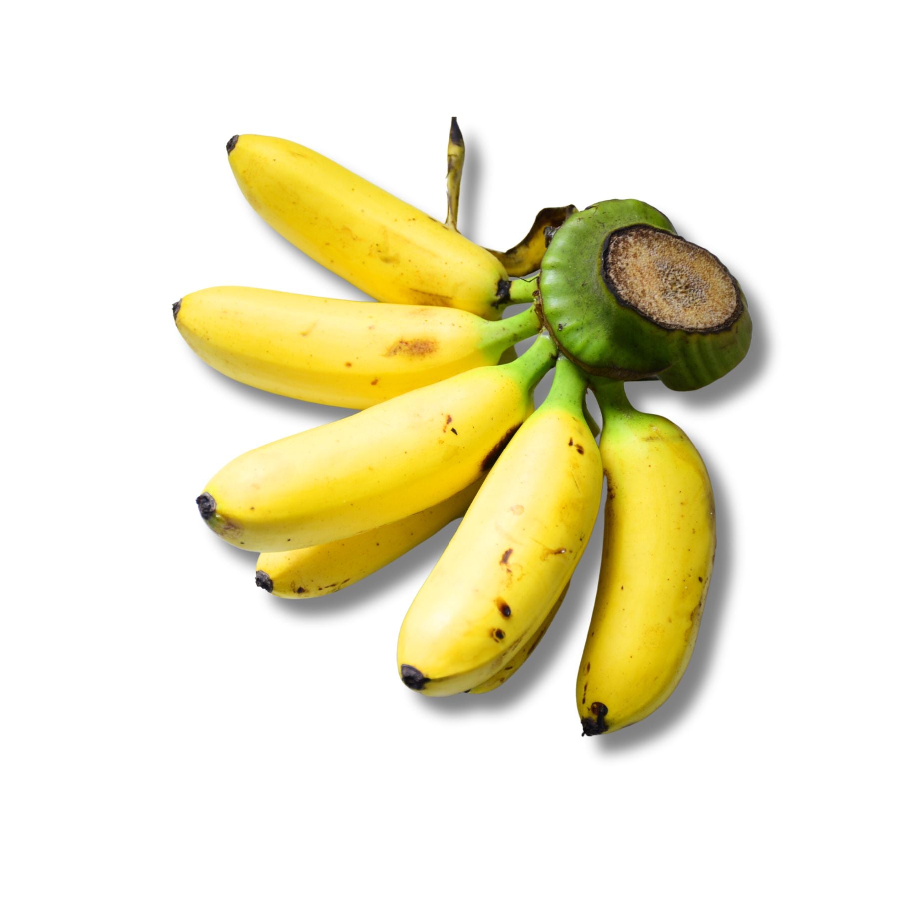 [FRESH] Organic Banana 250g ( Small Bunch )  Malaysia