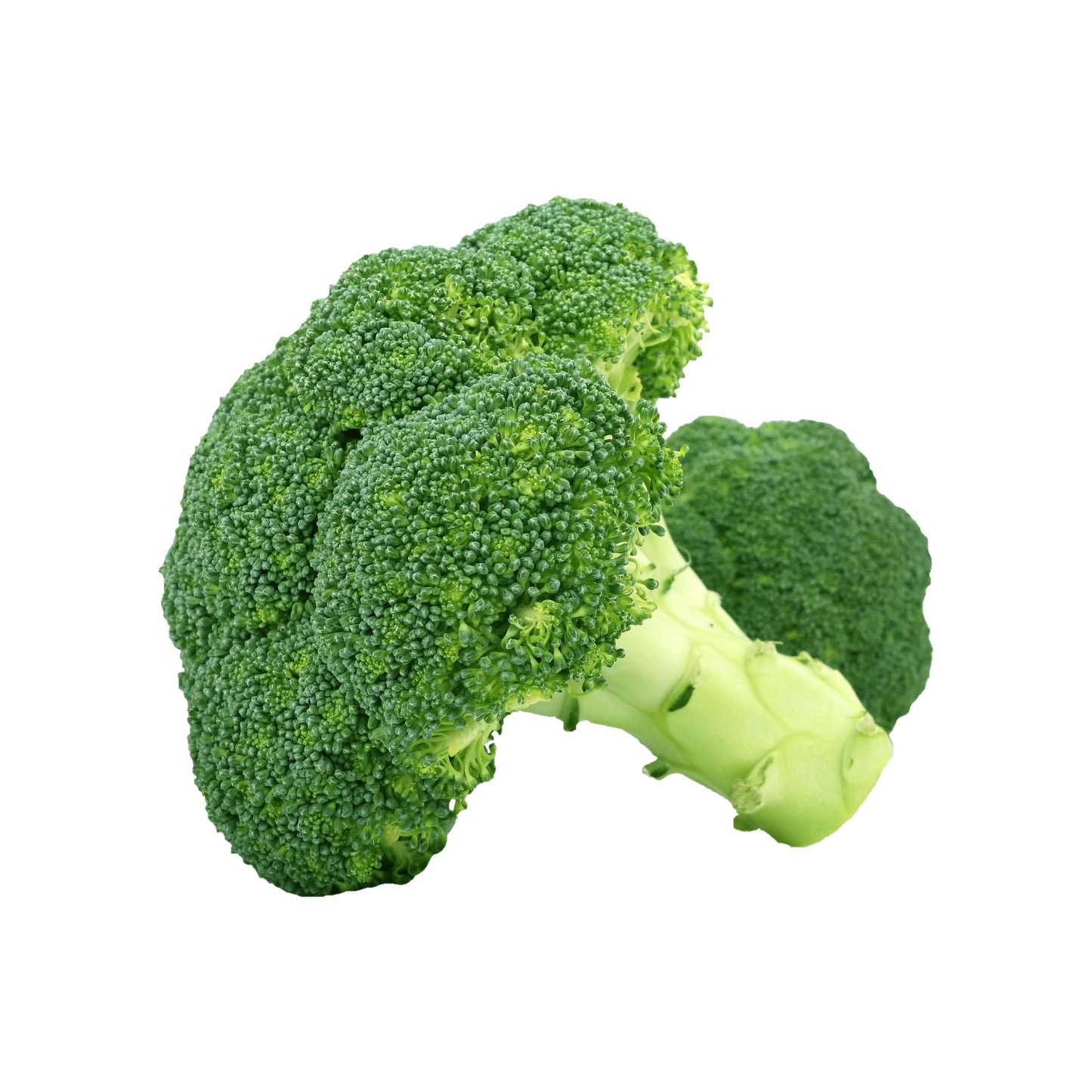 Organic Broccoli 1pkt Australia/Spain