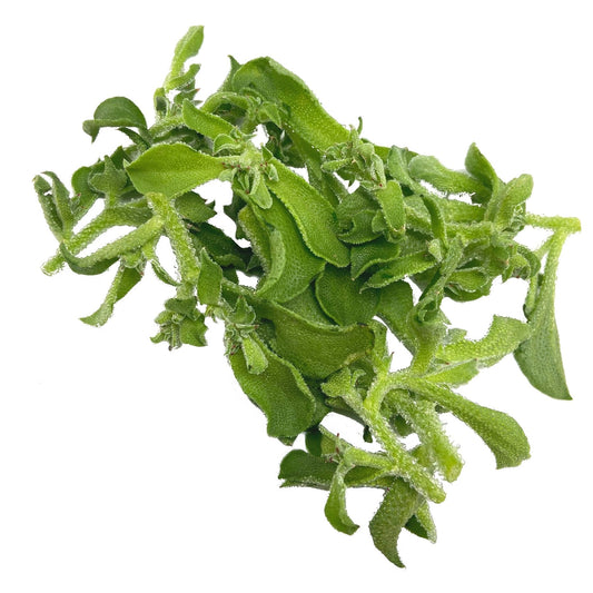 [FRESH] Organic Ice Plant Lettuce 100g Malaysia