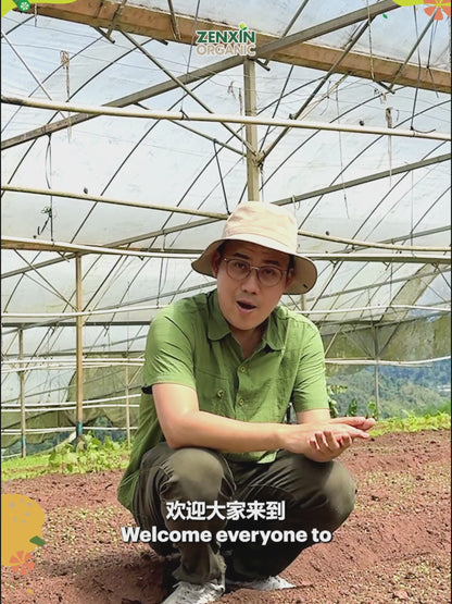 Customization Weekly Organic Farm Box