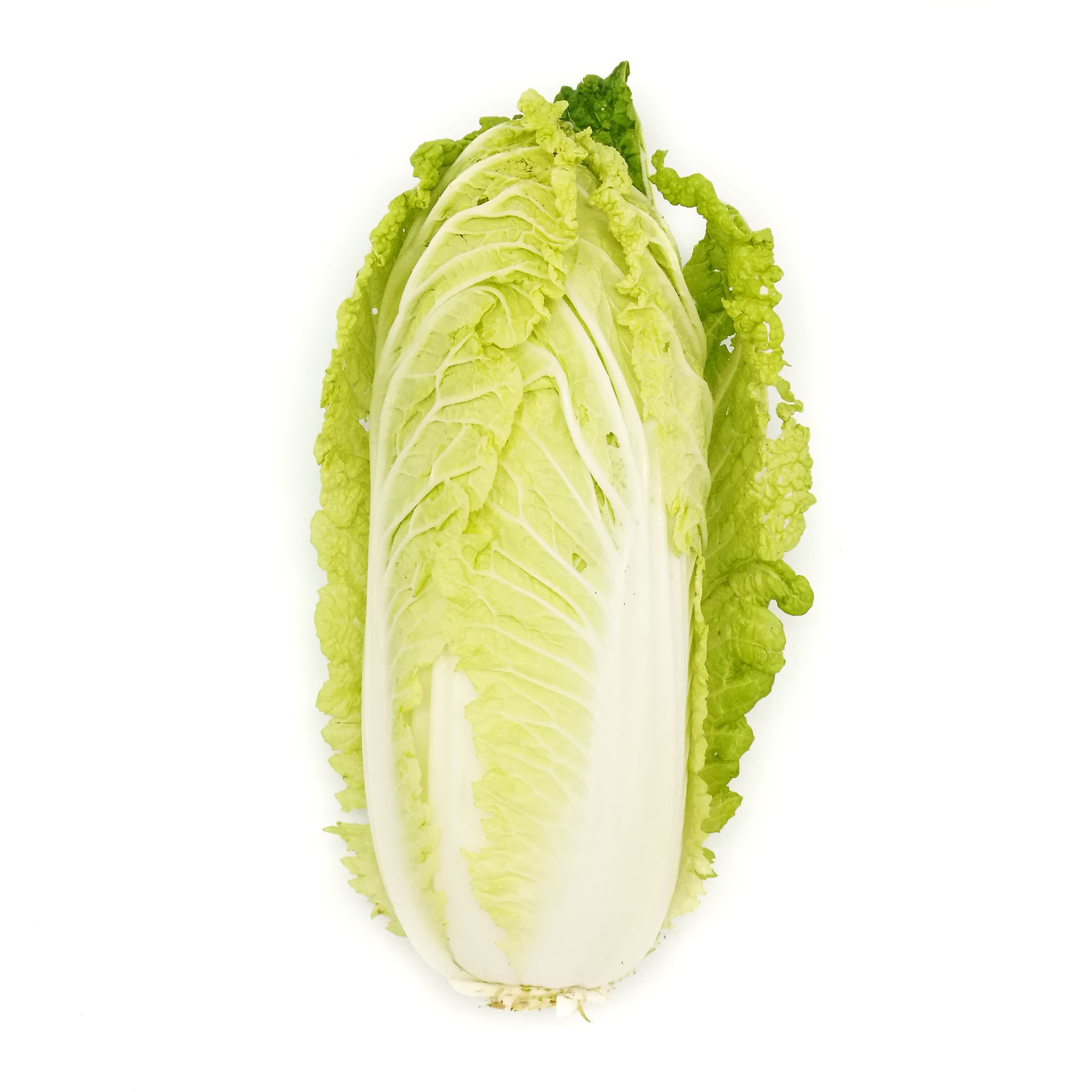 is chinese cabbage good for you