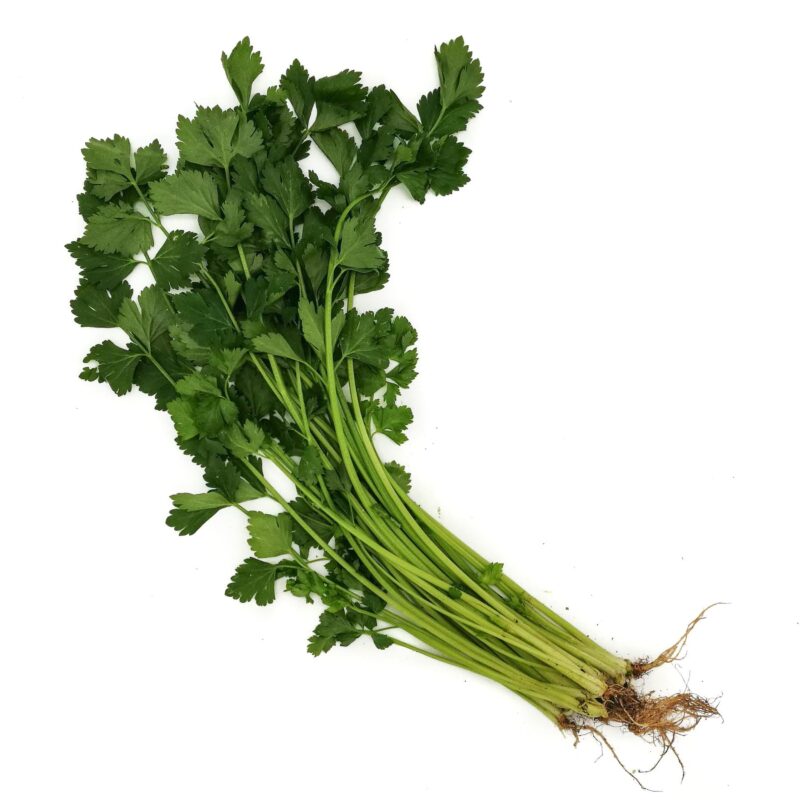 Organic Chinese Celery 80g Malaysia - ZENXIN Singapore